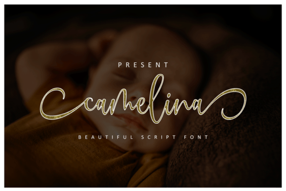 Camelina: Elevating Web Design with a Modern Calligraphy Font