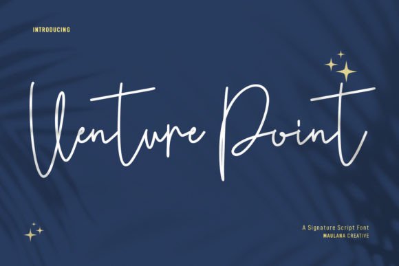 How Venture Point Font Gave My Small Business a Polished, Professional Look