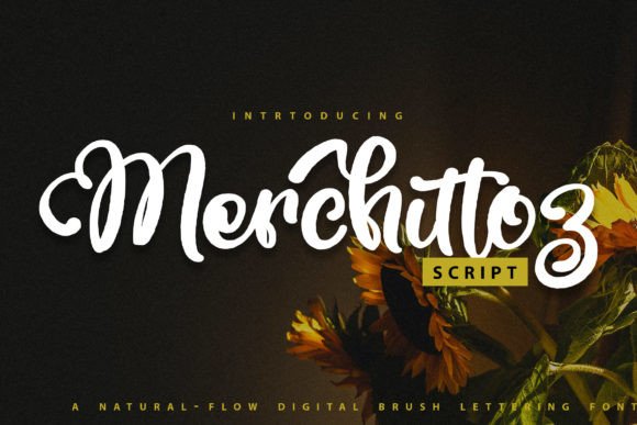 Merchittoz: A Handwritten Font for Small Business Branding